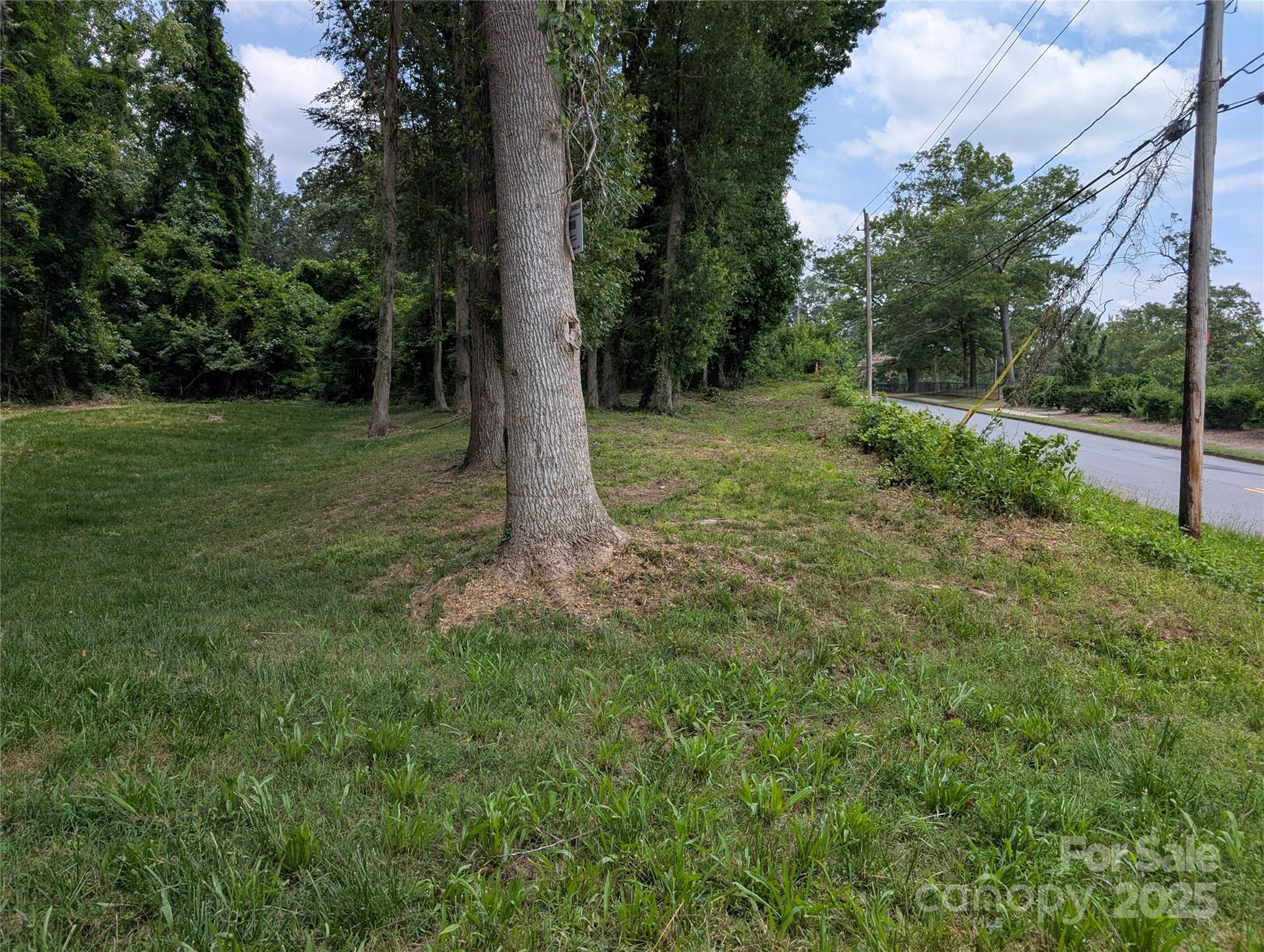 710 Bouchelle Street Morganton, NC 28655 - Photo 2 of 5