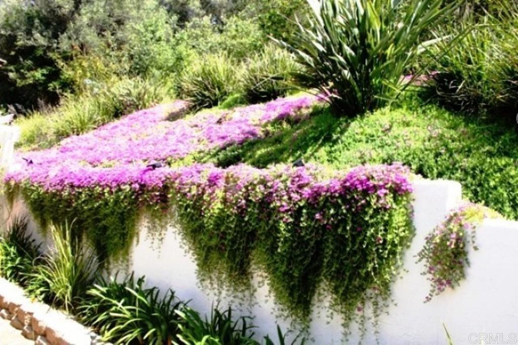 1879 Fox Bridge Court Fallbrook, CA 92028 - Photo 19 of 29 Back Yard