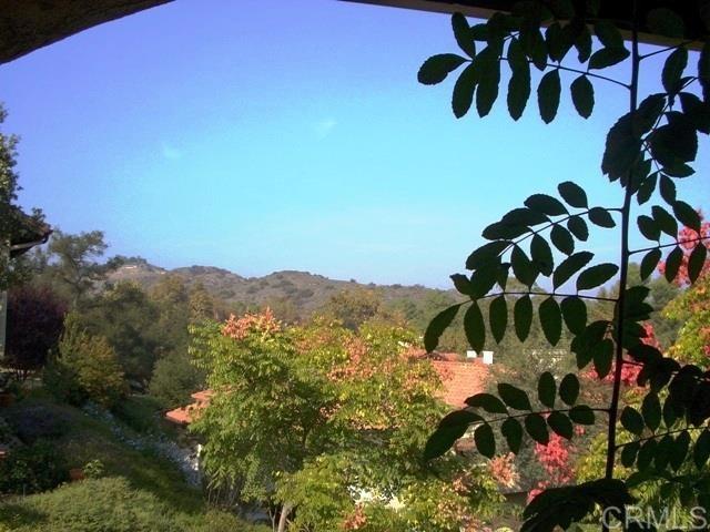 1879 Fox Bridge Court Fallbrook, CA 92028 - Photo 29 of 29 All windows in home have private and pleasant views.