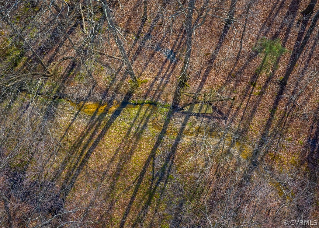 1210 Schroeder Road Powhatan, VA 23139 - Photo 40 of 50 HIKING TRAILS AND SPRING FED CREEK
