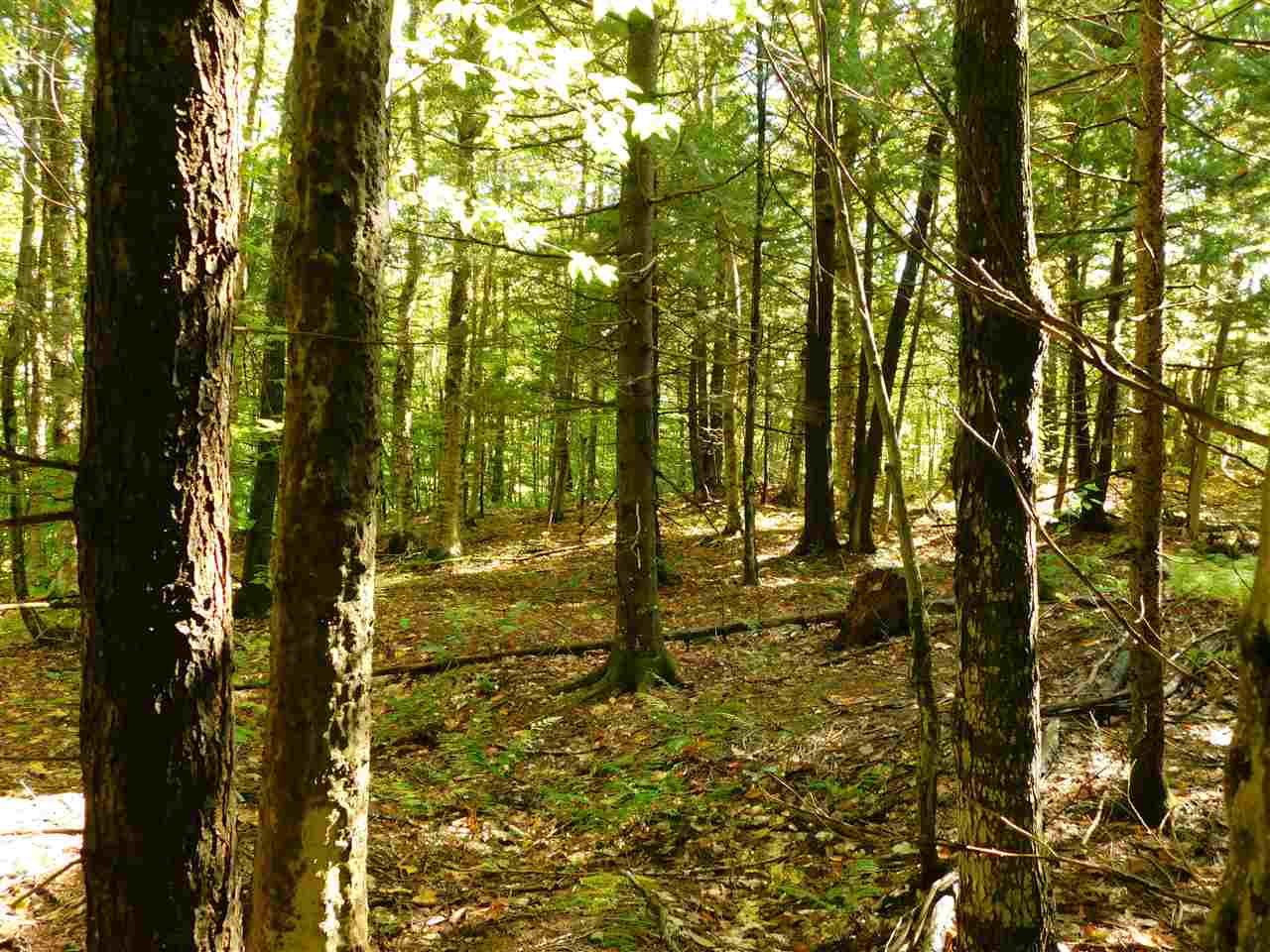 345 Stephenson Road, Unit 6 Irasburg, VT 05845 - Photo 11 of 18 Gallery Image 11