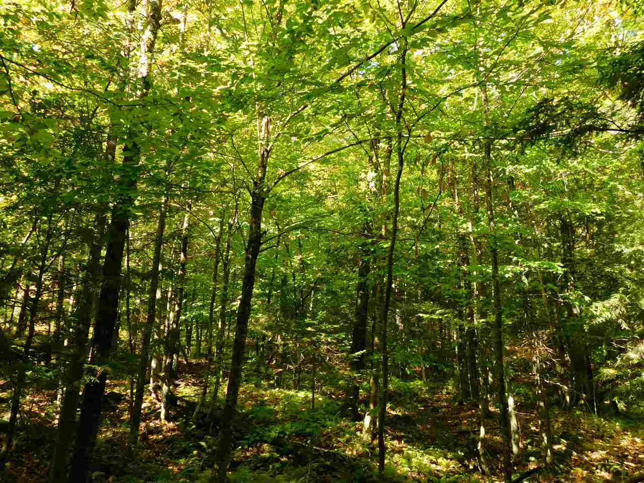 345 Stephenson Road, Unit 6 Irasburg, VT 05845 - Photo 13 of 18 Gallery Image 13