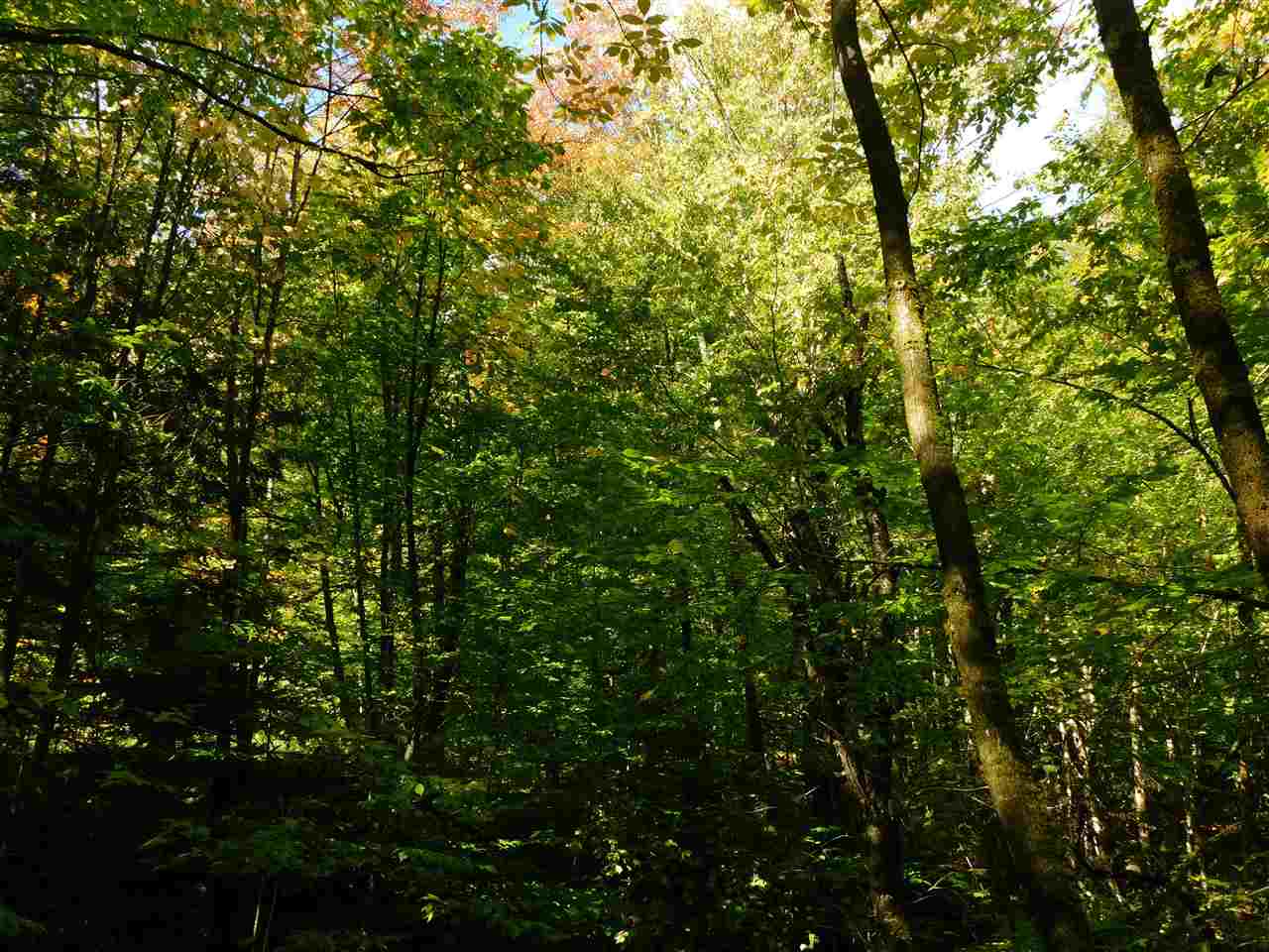345 Stephenson Road, Unit 6 Irasburg, VT 05845 - Photo 15 of 18 Gallery Image 15