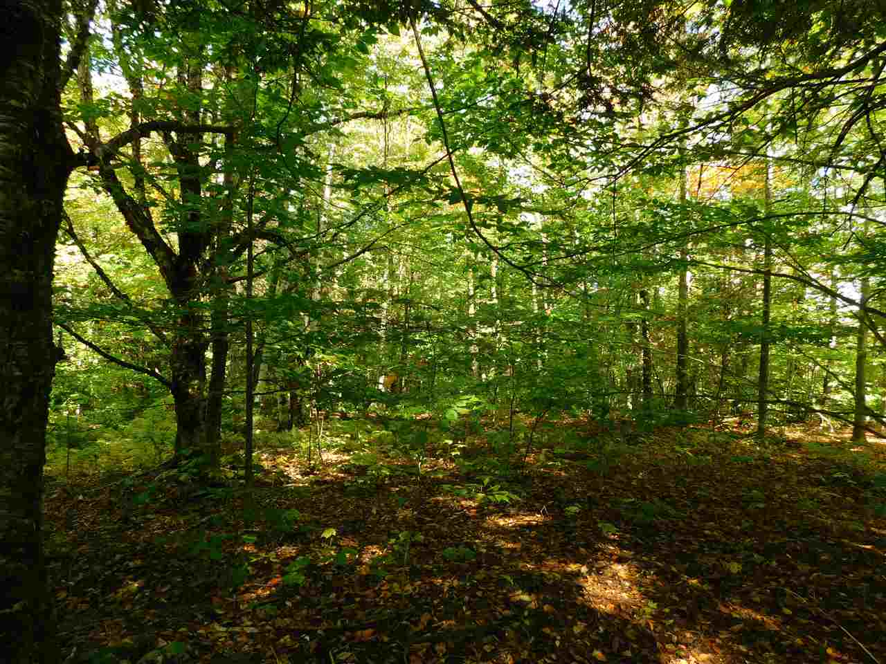 345 Stephenson Road, Unit 6 Irasburg, VT 05845 - Photo 17 of 18 Gallery Image 17