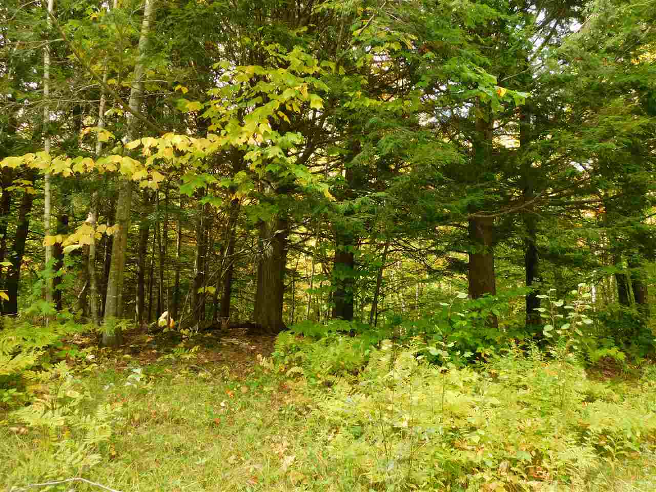 345 Stephenson Road, Unit 6 Irasburg, VT 05845 - Photo 3 of 18 Gallery Image 3