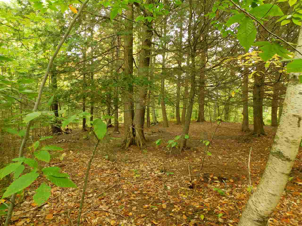 345 Stephenson Road, Unit 6 Irasburg, VT 05845 - Photo 4 of 18 Gallery Image 4
