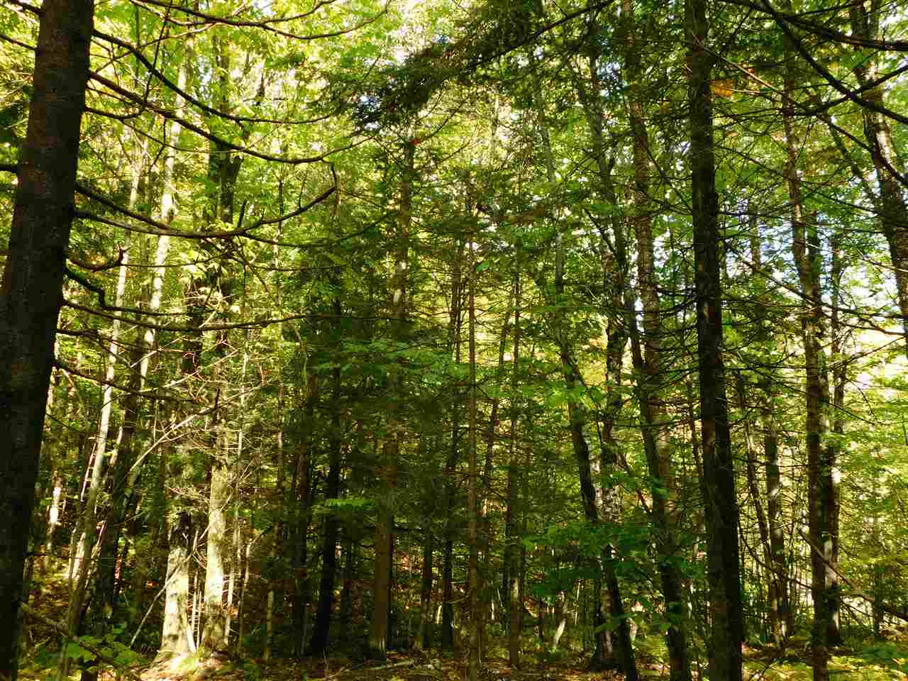 345 Stephenson Road, Unit 6 Irasburg, VT 05845 - Photo 8 of 18 Gallery Image 8