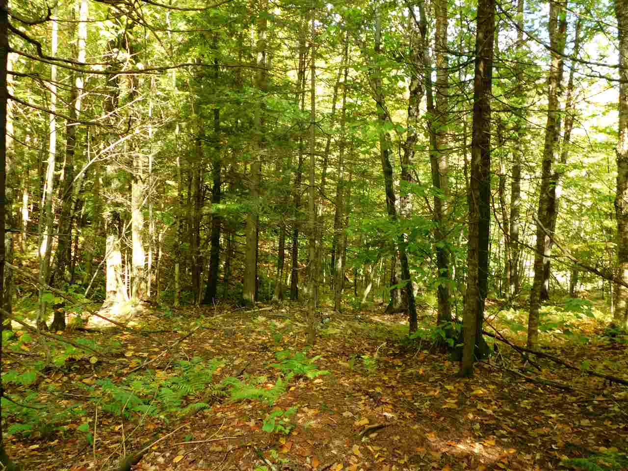 345 Stephenson Road, Unit 6 Irasburg, VT 05845 - Photo 9 of 18 Gallery Image 9