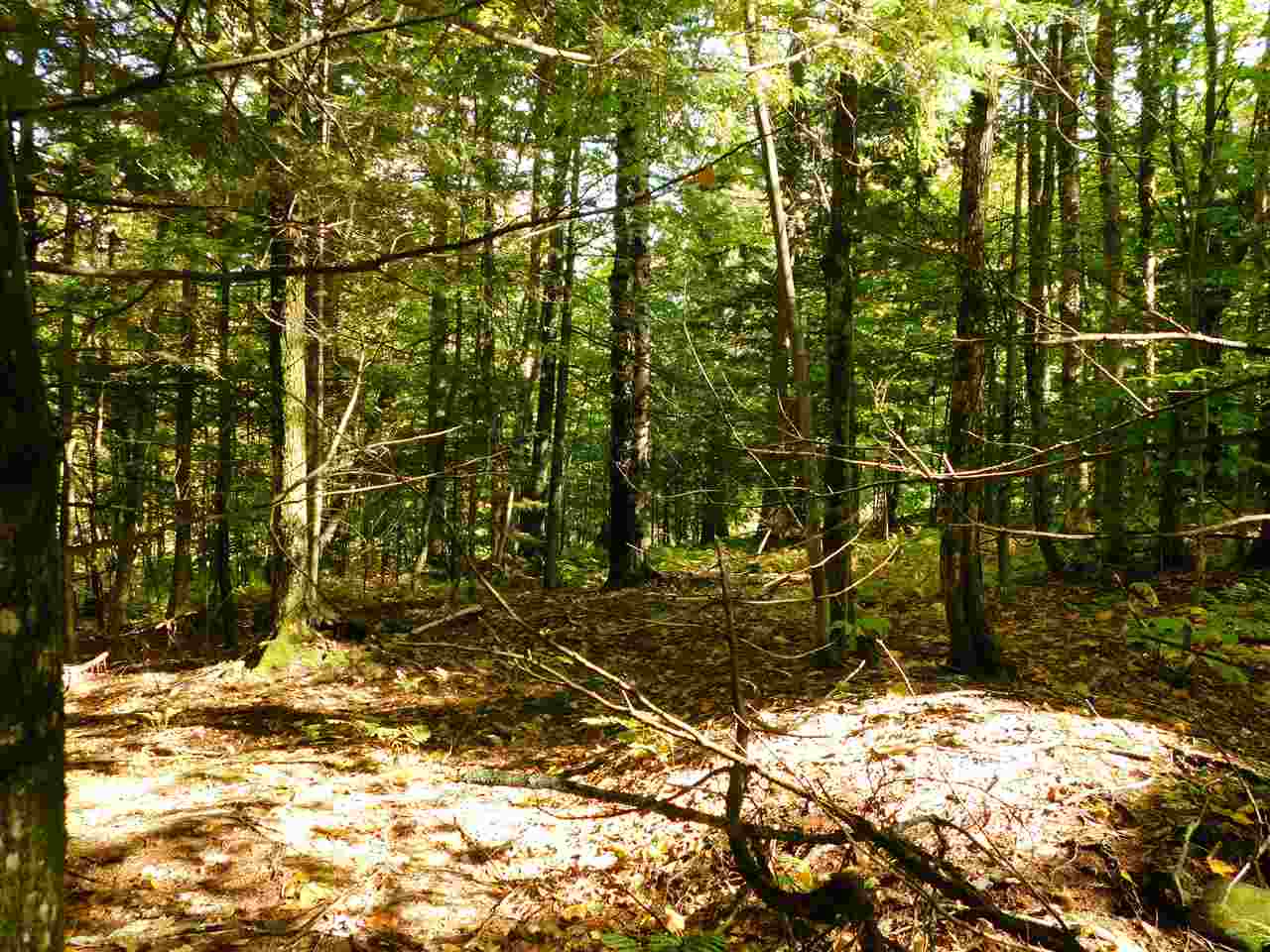 345 Stephenson Road, Unit 6 Irasburg, VT 05845 - Photo 10 of 18 Gallery Image 10