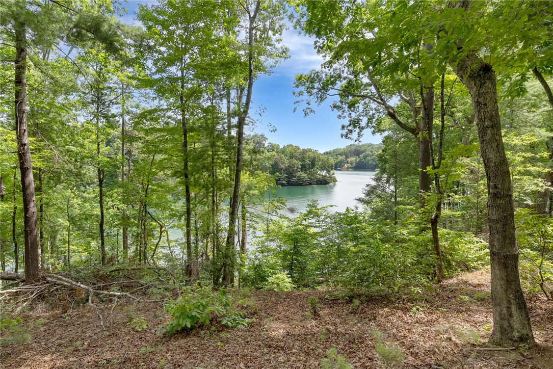 913 Rippling Water Way Salem, SC 29676 - Photo 5 of 15
