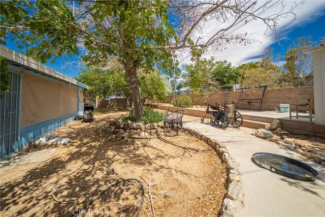 a view of a backyard with a tree