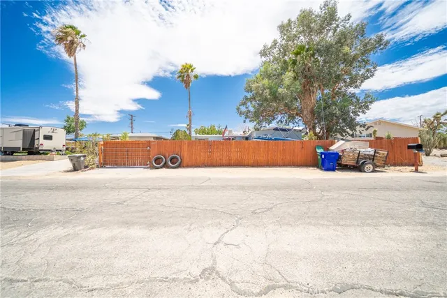 a street view with large trees