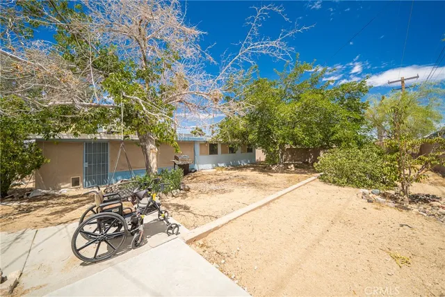 a view of a backyard with plants and a slide