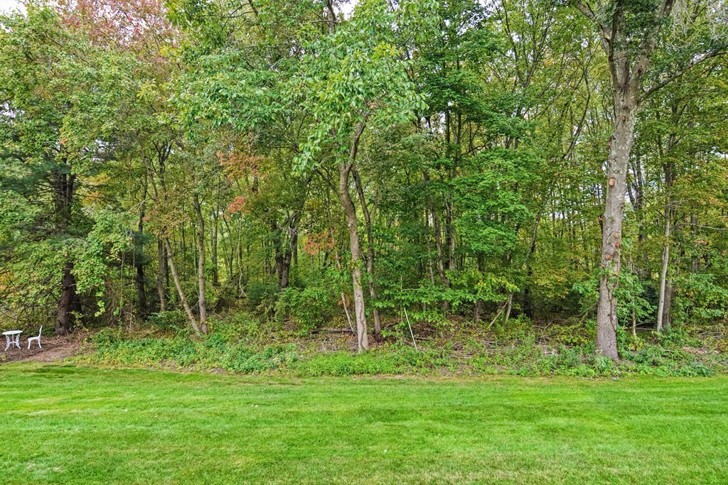 96 Danforth Street, Unit 19 Taunton, MA 02780 - Photo 27 of 31 a view of outdoor space and green space