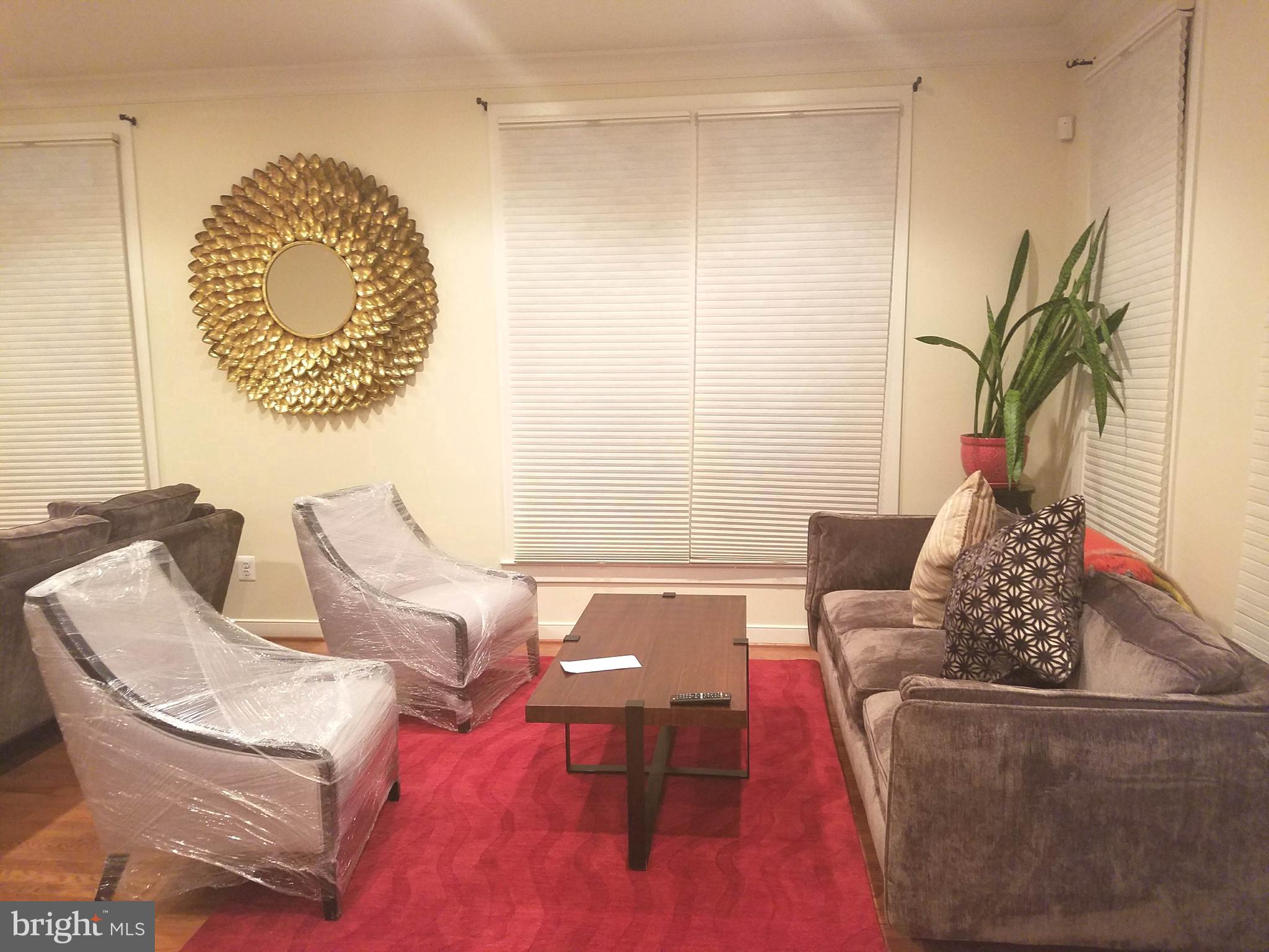 2338 Cobble Hill Terrace Silver Spring, MD 20902 - Photo 6 of 25 a living room with furniture and a potted plant