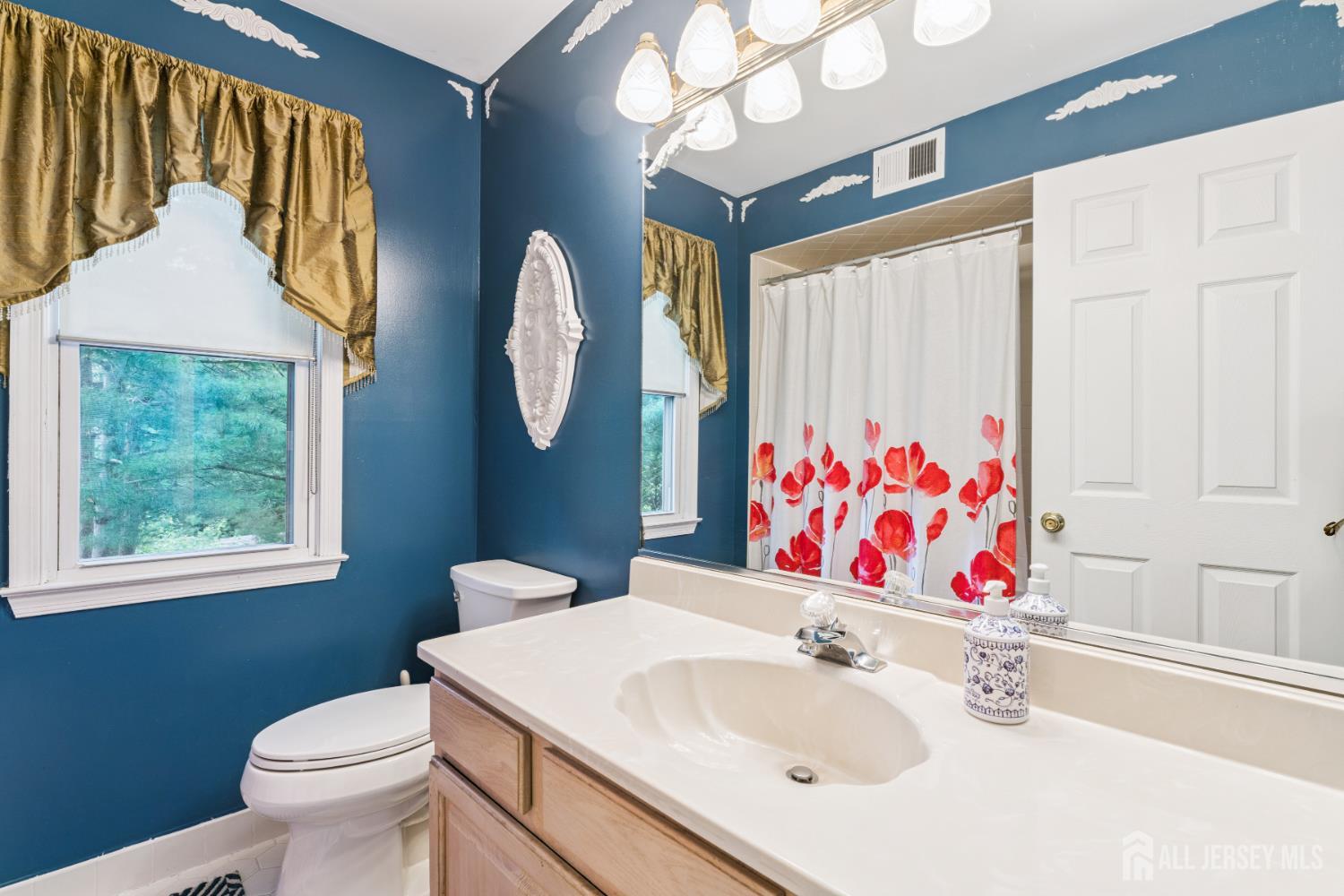 66 Spring Hill Road Old Bridge, NJ 07747 - Photo 28 of 32 a bathroom with a sink vanity mirror and toilet