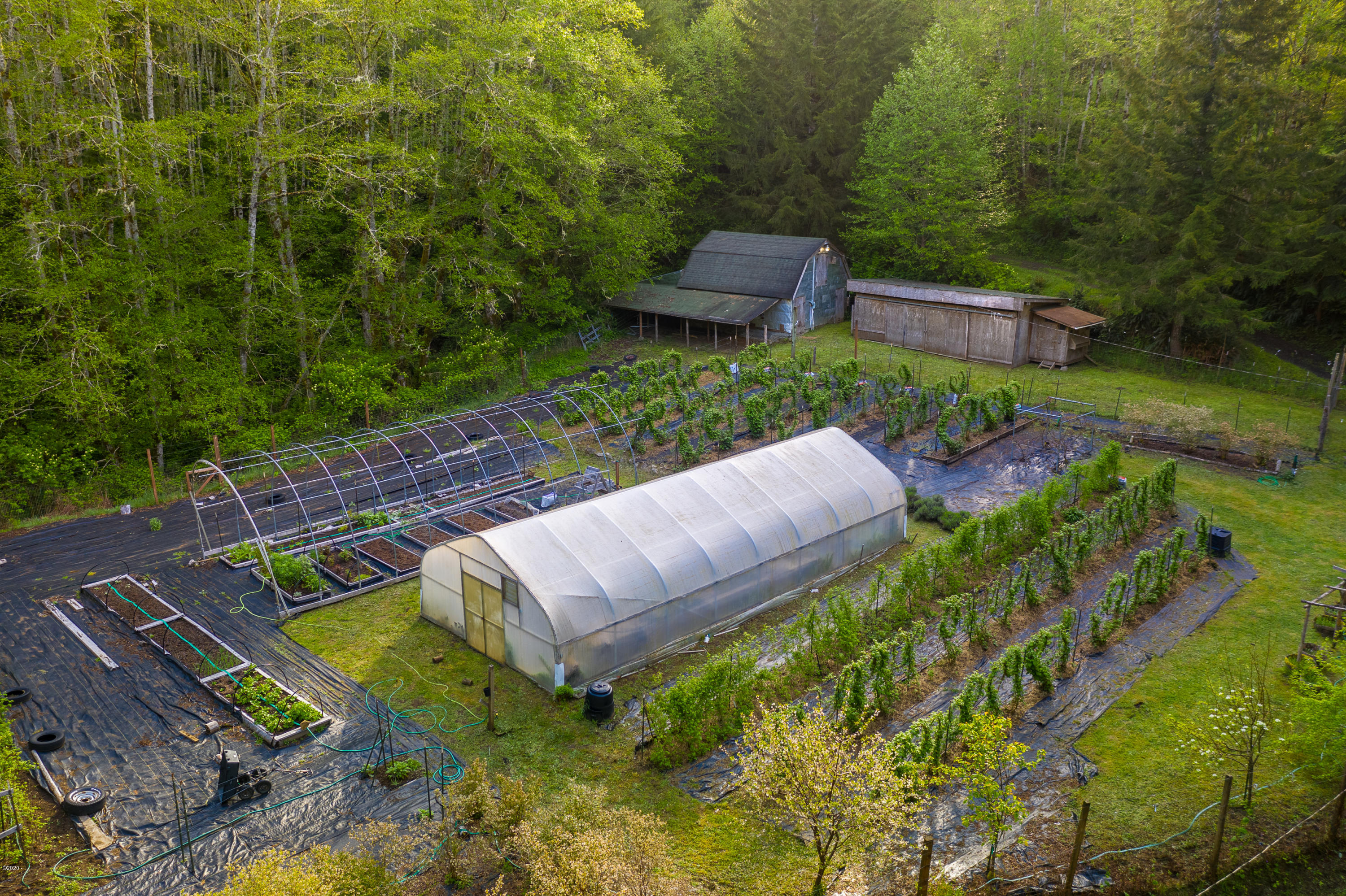 1266 North Yachats River Road Yachats, OR 97498 - Photo 55 of 79 Organic Gardens