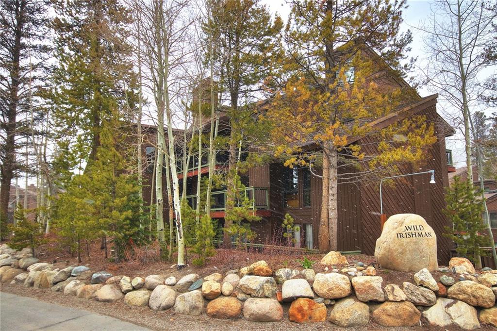 423 Wild Irishman Road, Unit 1014 Keystone, CO 80435 - Photo 21 of 21 Gallery Image 21