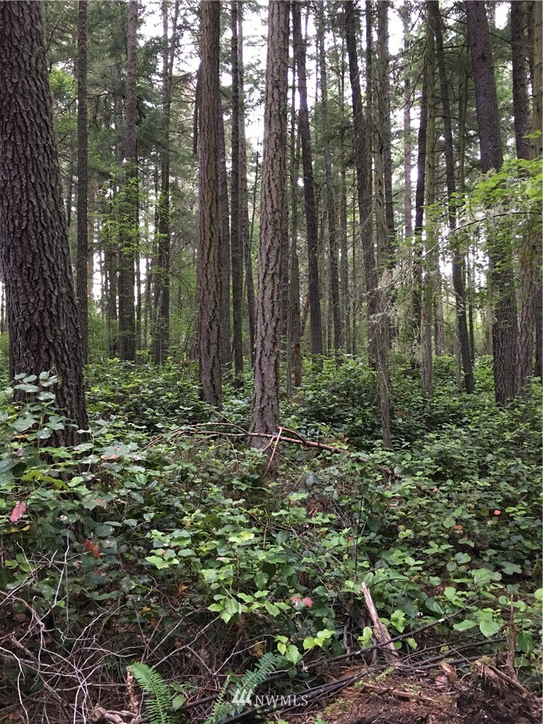 0 Channel Road Lopez Island, WA 98261 - Photo 1 of 8