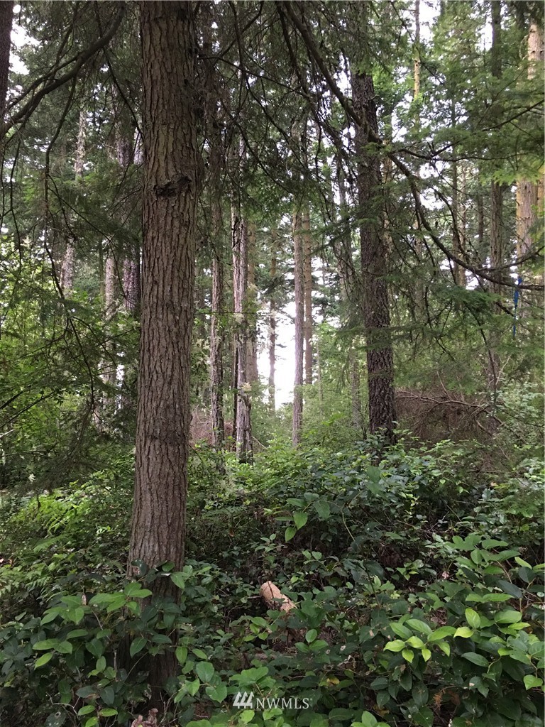 0 Channel Road Lopez Island, WA 98261 - Photo 2 of 8