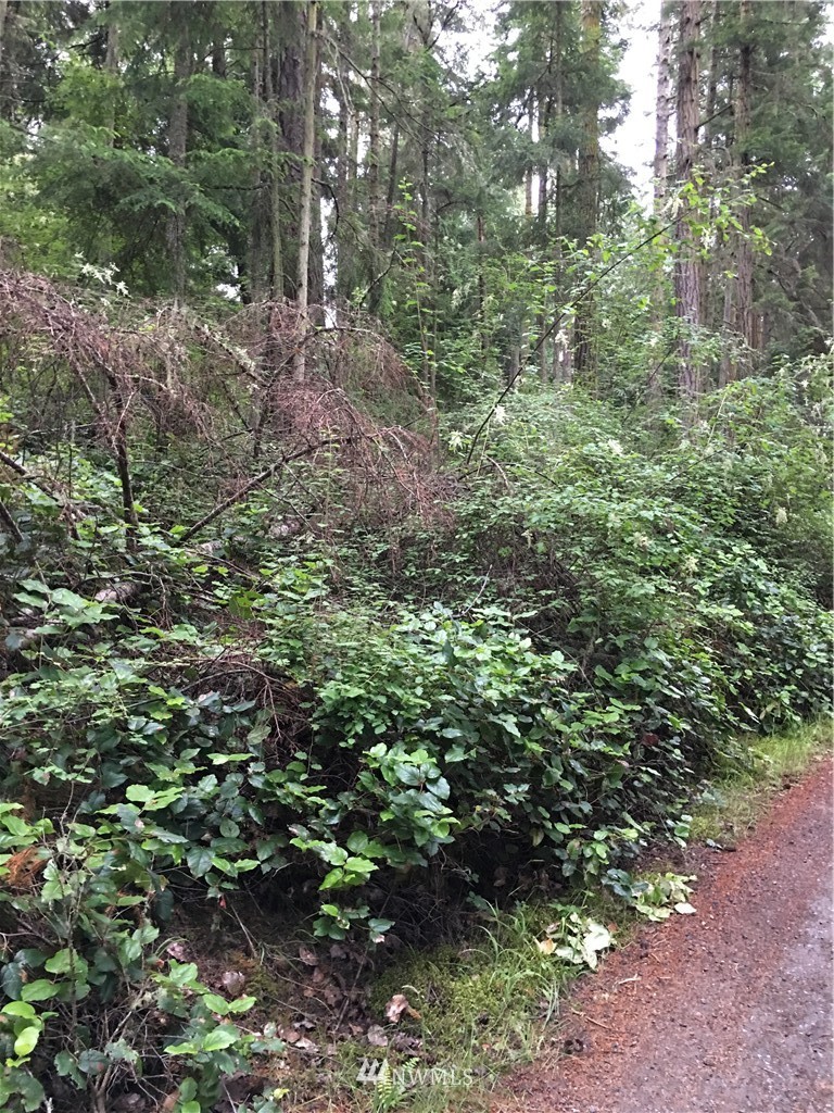 0 Channel Road Lopez Island, WA 98261 - Photo 3 of 8