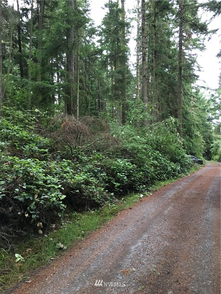 0 Channel Road Lopez Island, WA 98261 - Photo 4 of 8