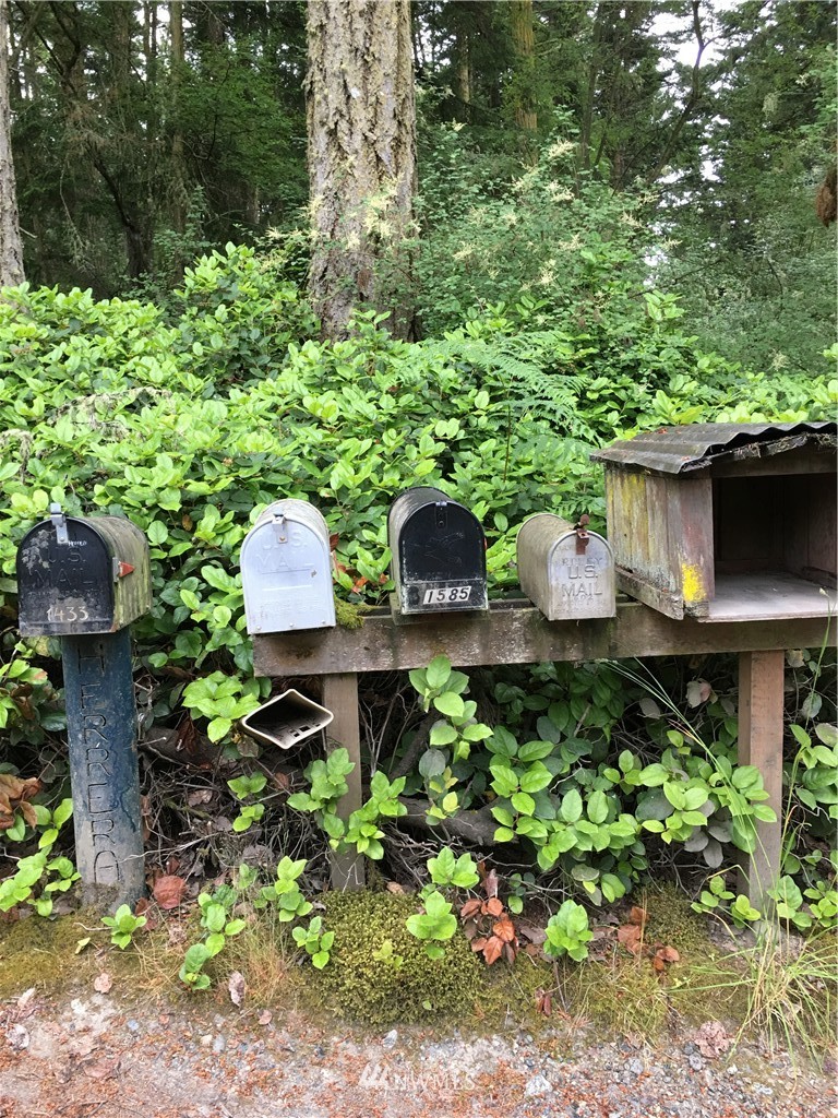 0 Channel Road Lopez Island, WA 98261 - Photo 6 of 8