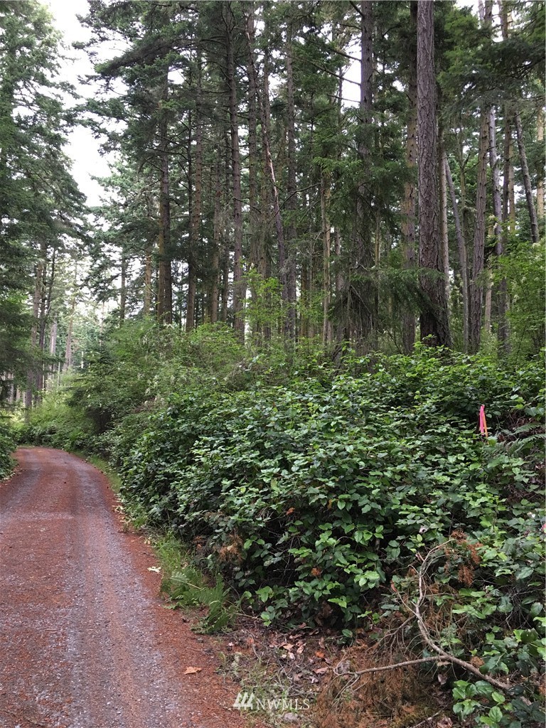 0 Channel Road Lopez Island, WA 98261 - Photo 8 of 8