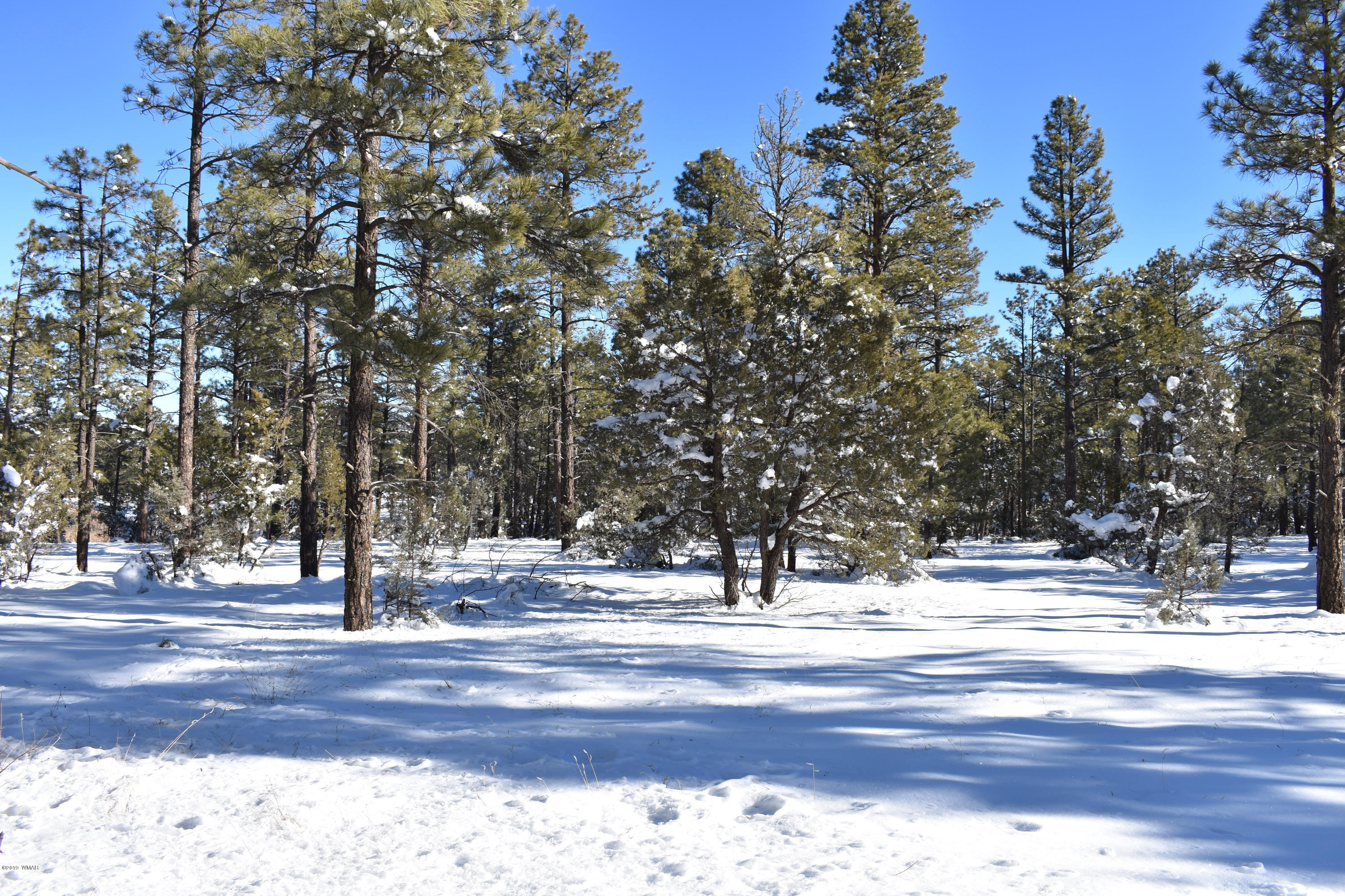 207 C Jacks Road Lakeside, AZ 85929 - Photo 1 of 6 Gallery Image 1