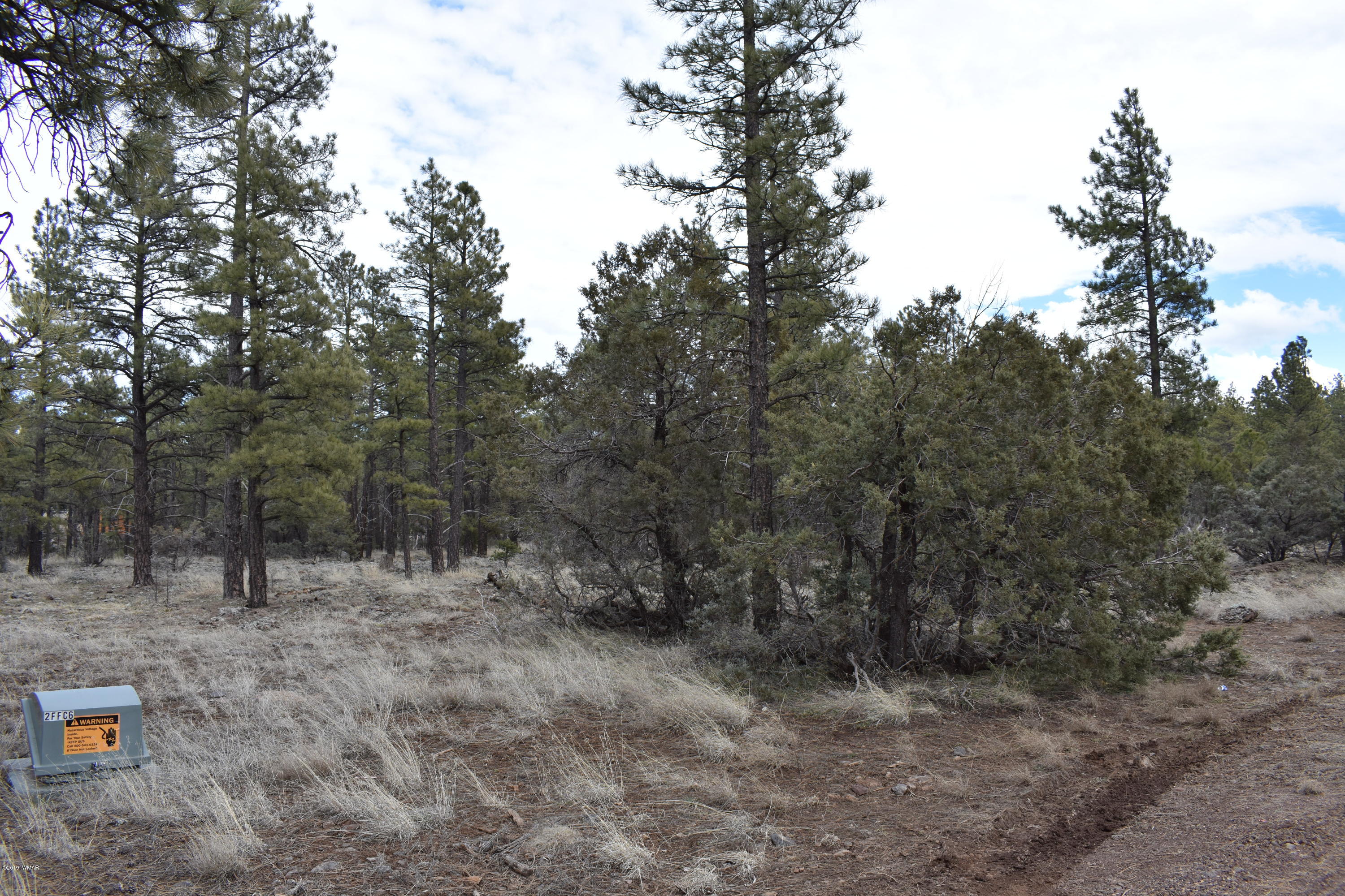 207 C Jacks Road Lakeside, AZ 85929 - Photo 3 of 6 Gallery Image 3