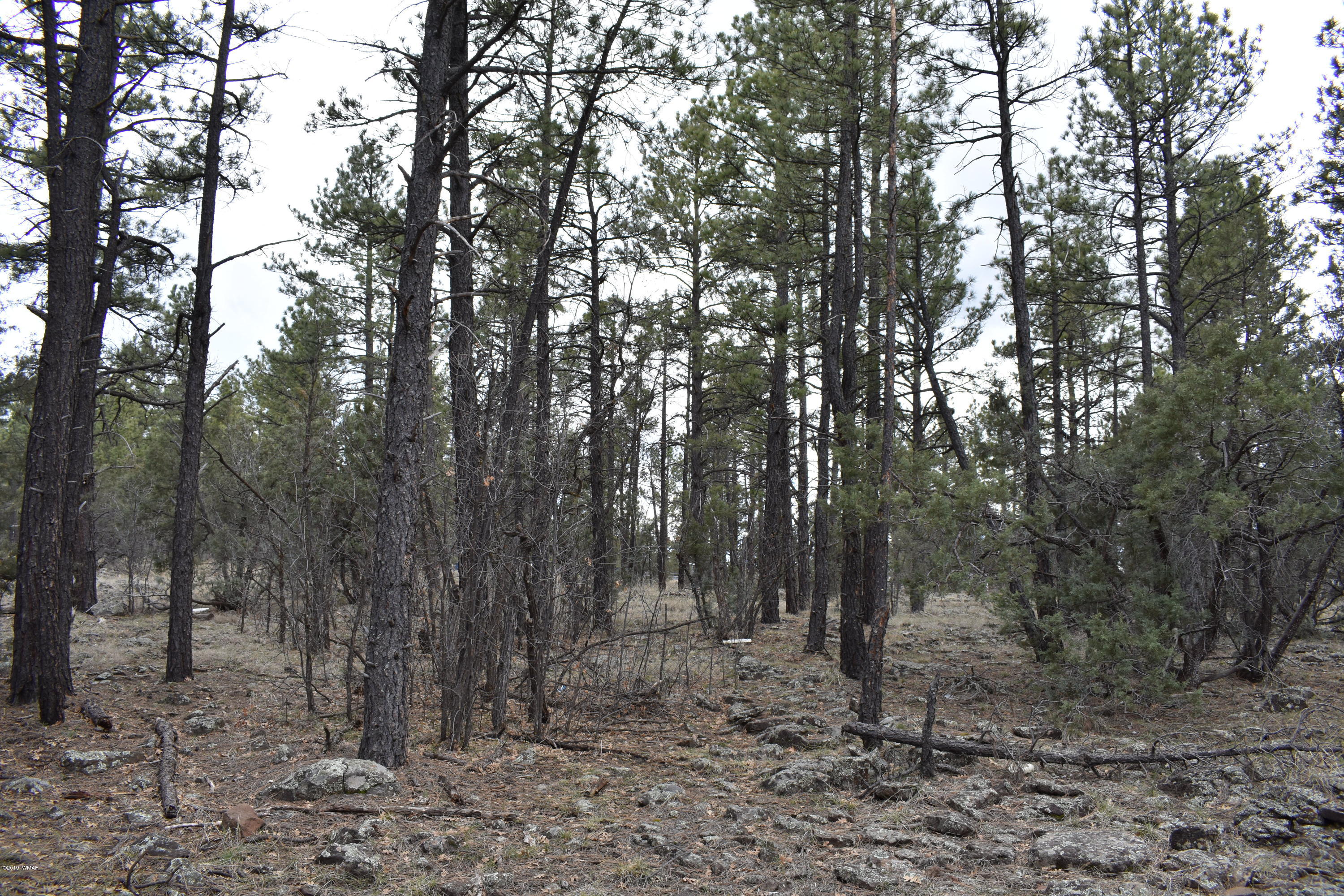 207 C Jacks Road Lakeside, AZ 85929 - Photo 5 of 6 Gallery Image 5