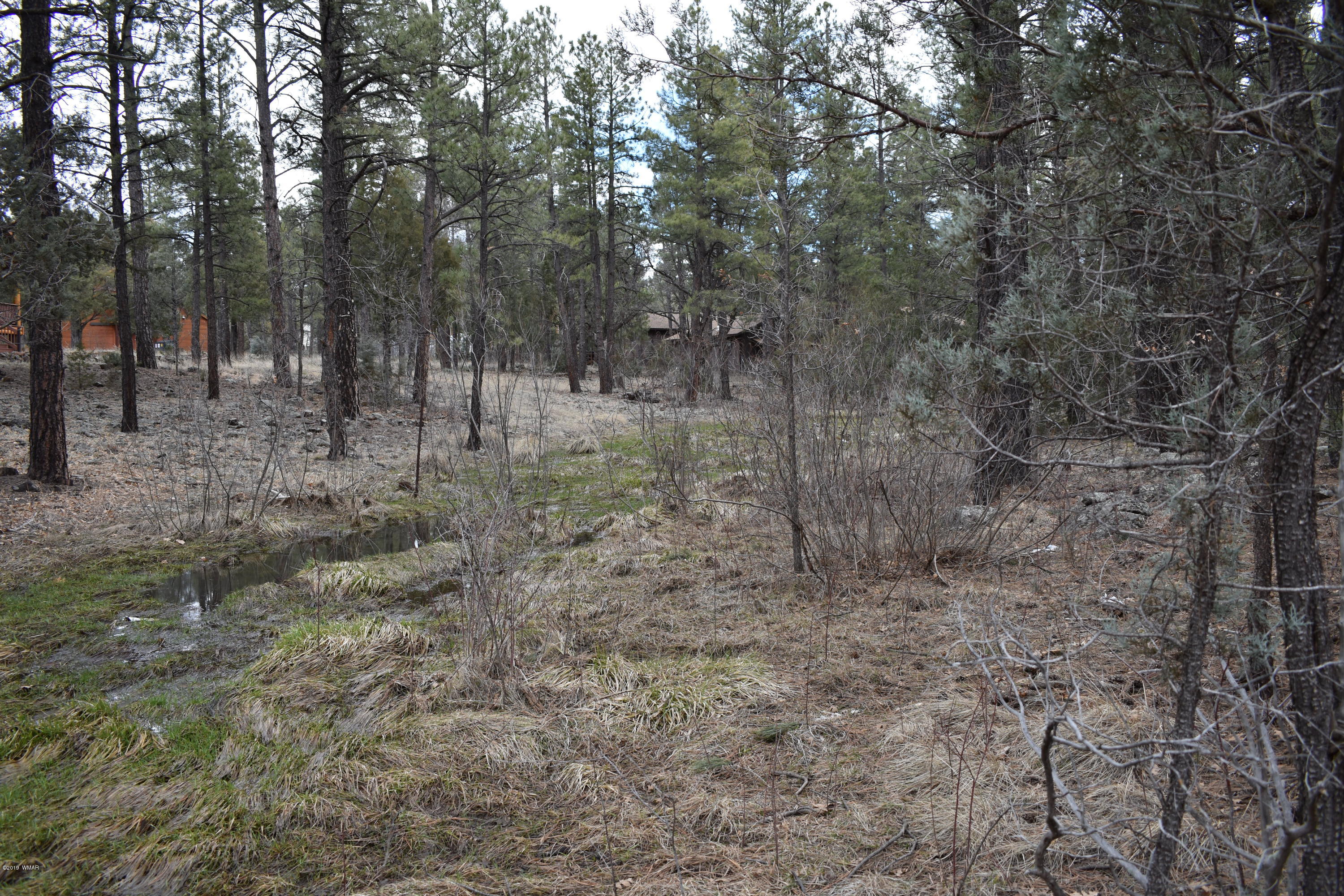 207 C Jacks Road Lakeside, AZ 85929 - Photo 6 of 6 Gallery Image 6