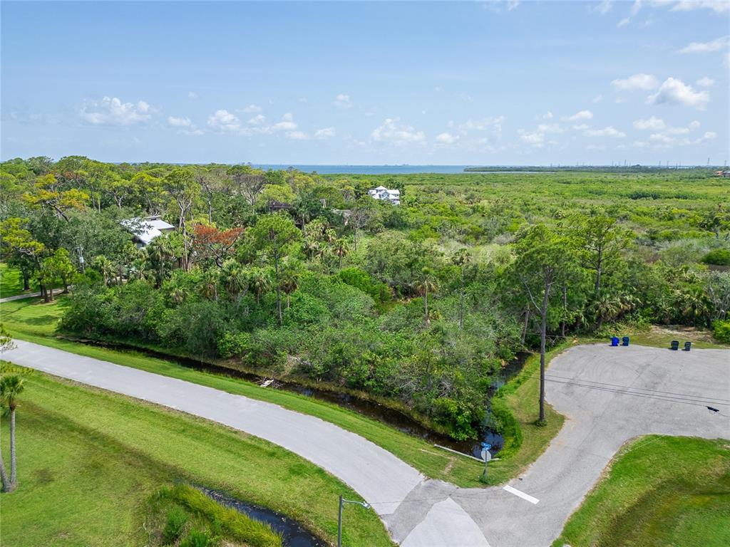 Strathmore Avenue Oldsmar, FL 34677 - Photo 1 of 27 a view of a yard with potted plants