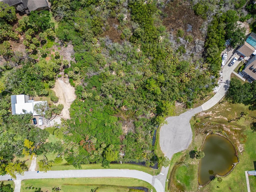 Strathmore Avenue Oldsmar, FL 34677 - Photo 11 of 27 view of outdoor space and yard