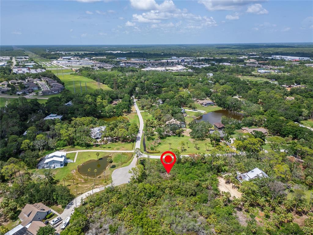 Strathmore Avenue Oldsmar, FL 34677 - Photo 12 of 27 a view of a houses with a yard