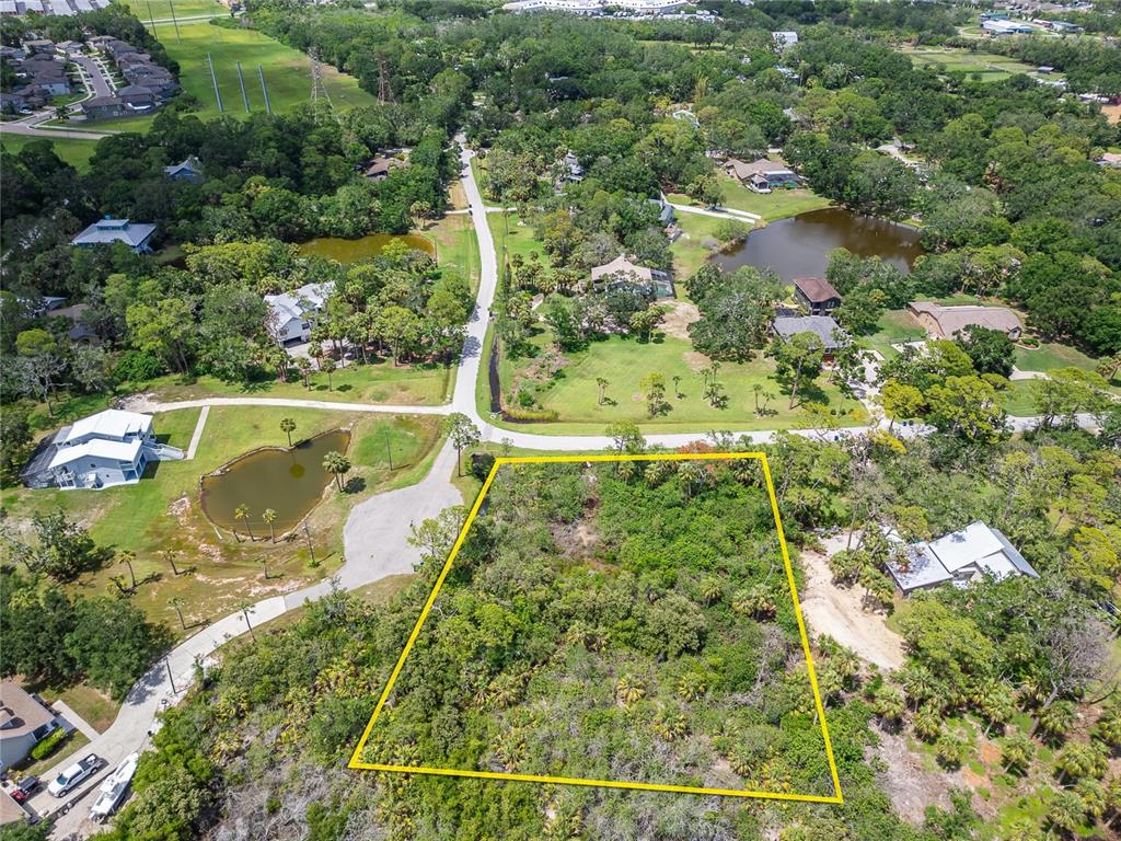 Strathmore Avenue Oldsmar, FL 34677 - Photo 13 of 27