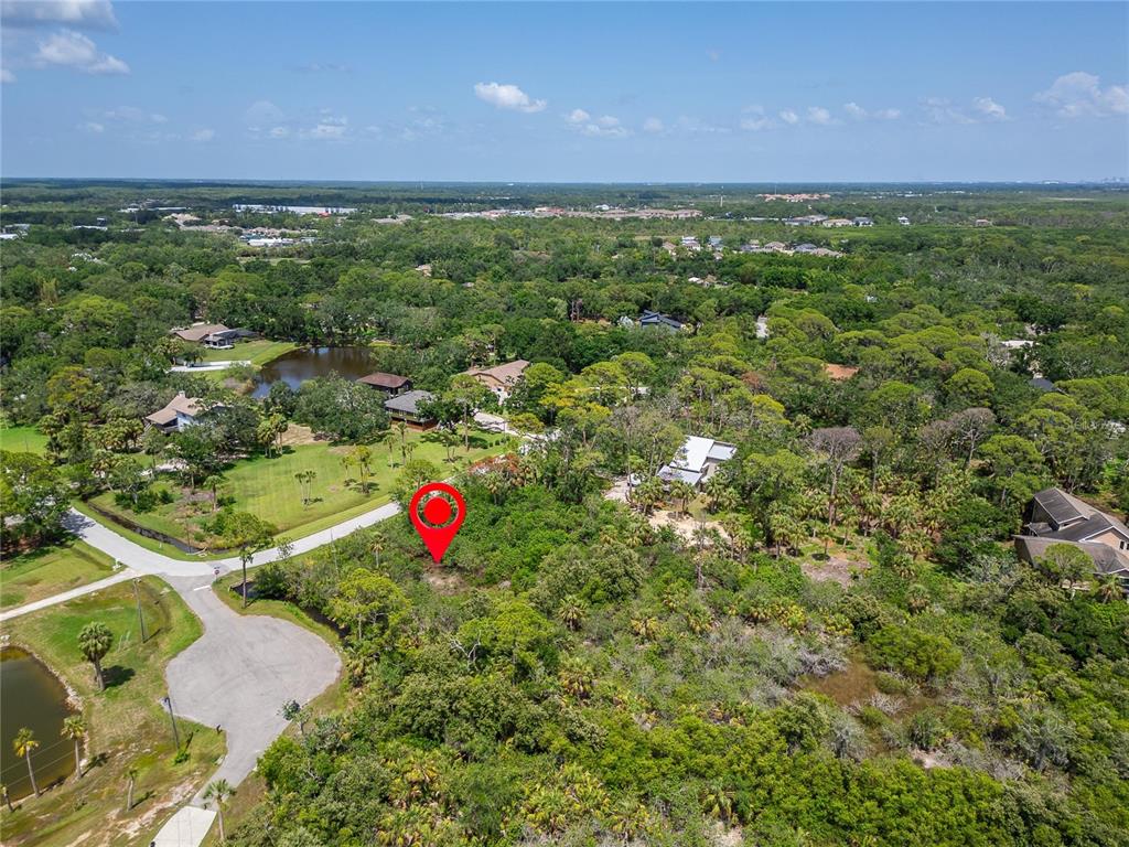 Strathmore Avenue Oldsmar, FL 34677 - Photo 14 of 27 an aerial view of residential houses with outdoor space and trees
