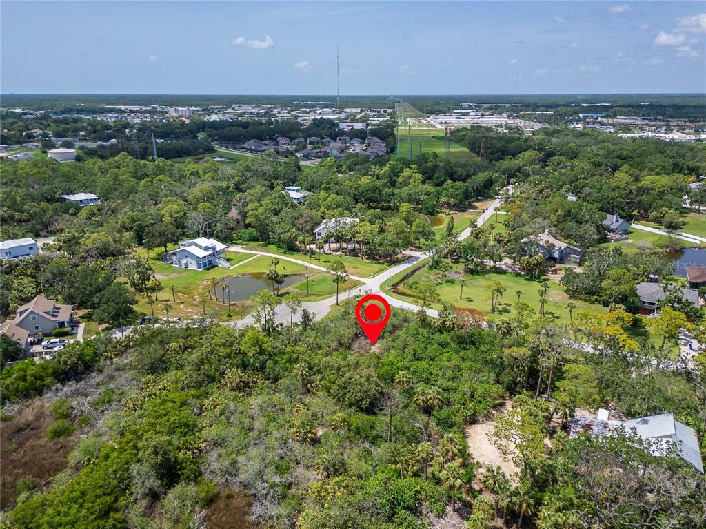 Strathmore Avenue Oldsmar, FL 34677 - Photo 15 of 27 a view of a houses with a lush green forest