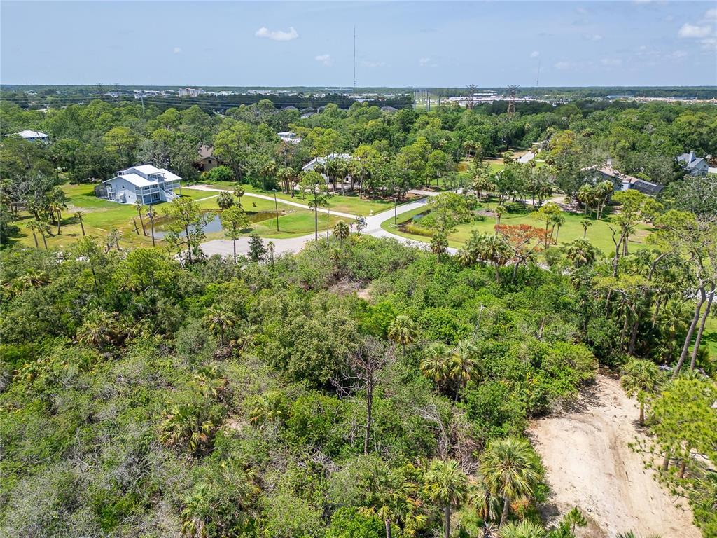 Strathmore Avenue Oldsmar, FL 34677 - Photo 16 of 27 a view of a houses with outdoor space and street view