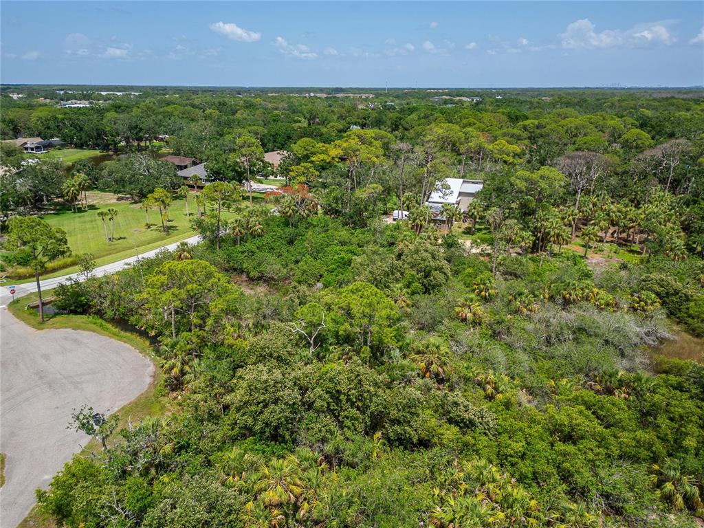 Strathmore Avenue Oldsmar, FL 34677 - Photo 18 of 27 an aerial view of residential houses with outdoor space and trees