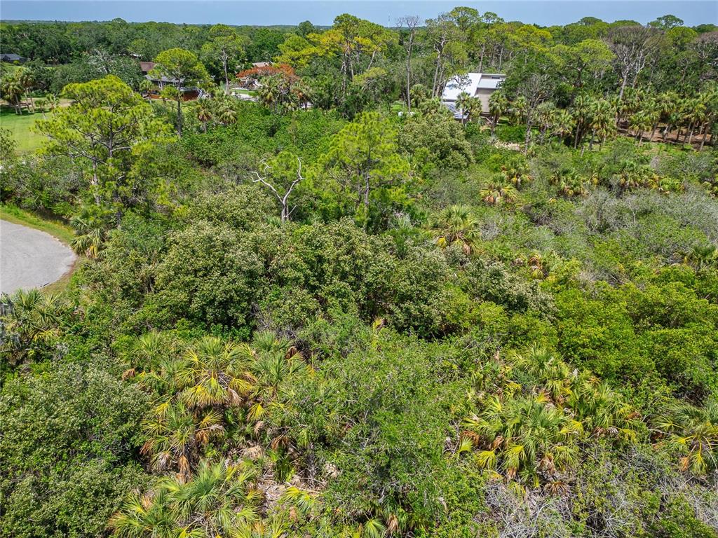 Strathmore Avenue Oldsmar, FL 34677 - Photo 19 of 27 an aerial view of residential house with outdoor space and trees all around