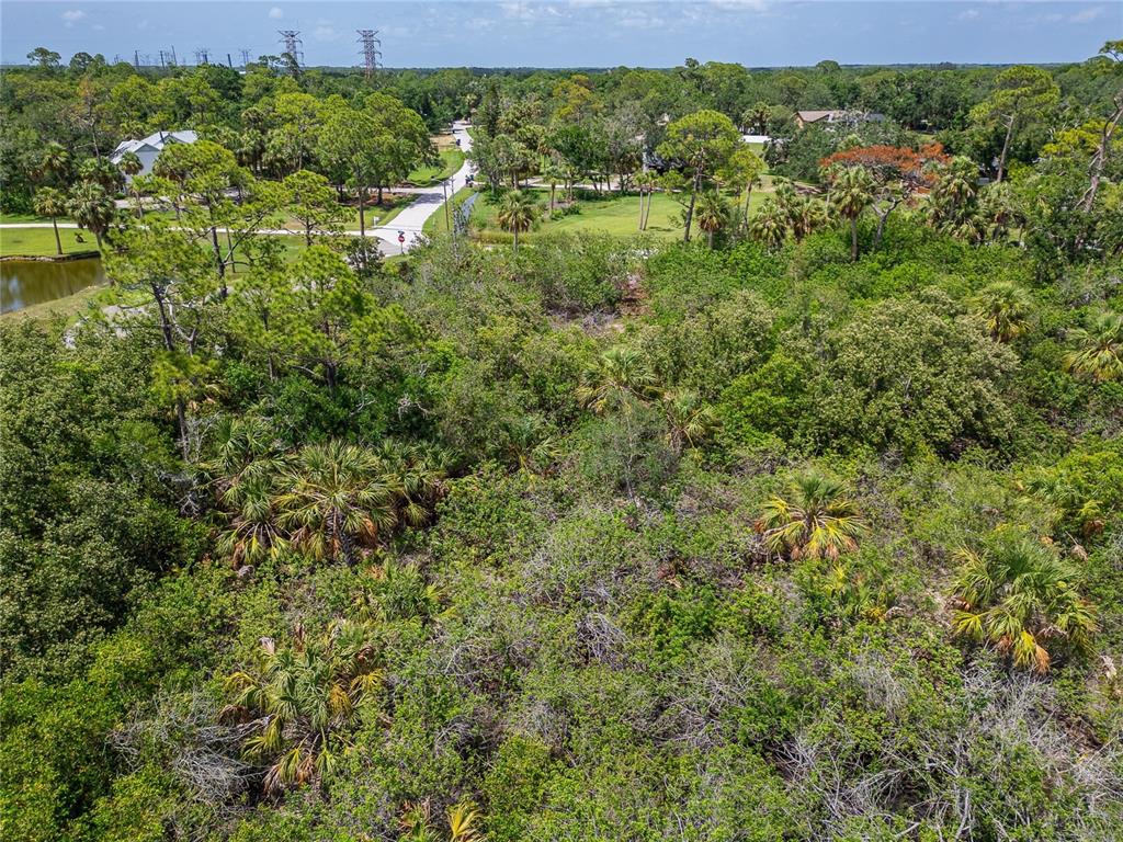 Strathmore Avenue Oldsmar, FL 34677 - Photo 20 of 27 a view of a lush green forest with houses and lake view
