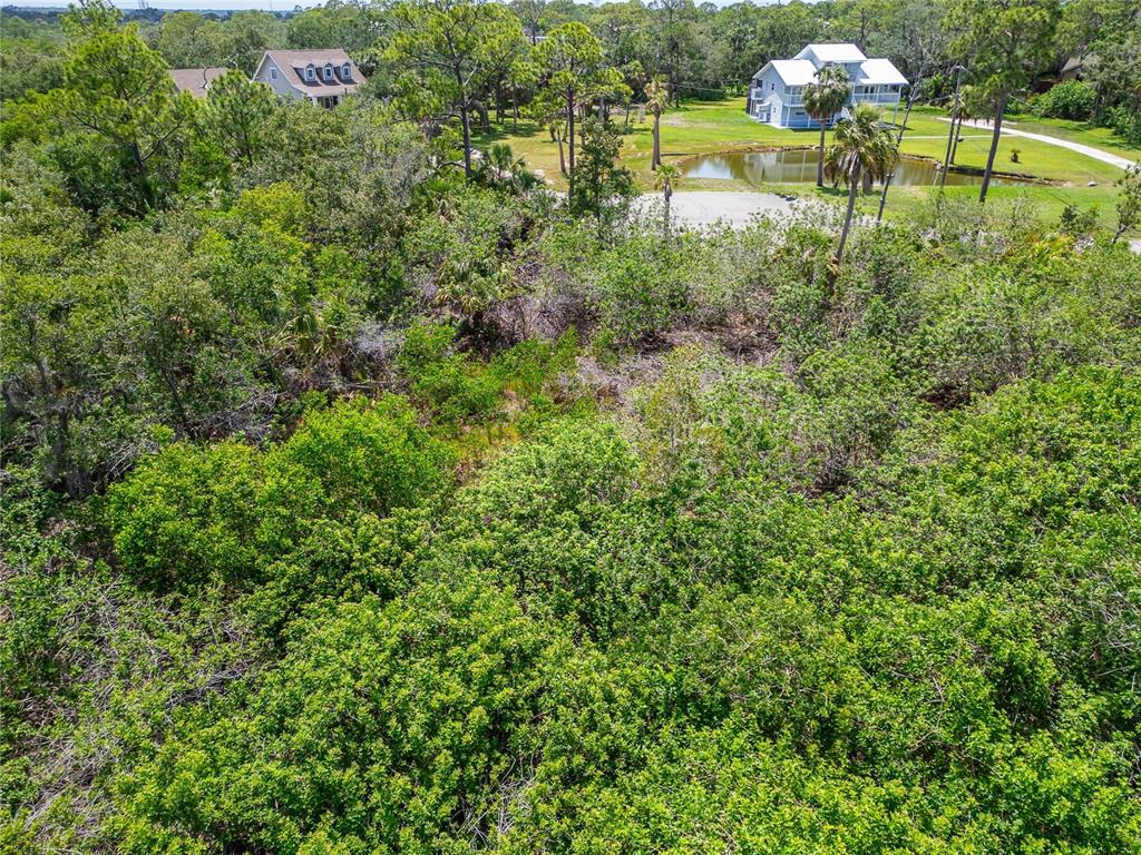 Strathmore Avenue Oldsmar, FL 34677 - Photo 23 of 27 a view of a lake with a building in the back