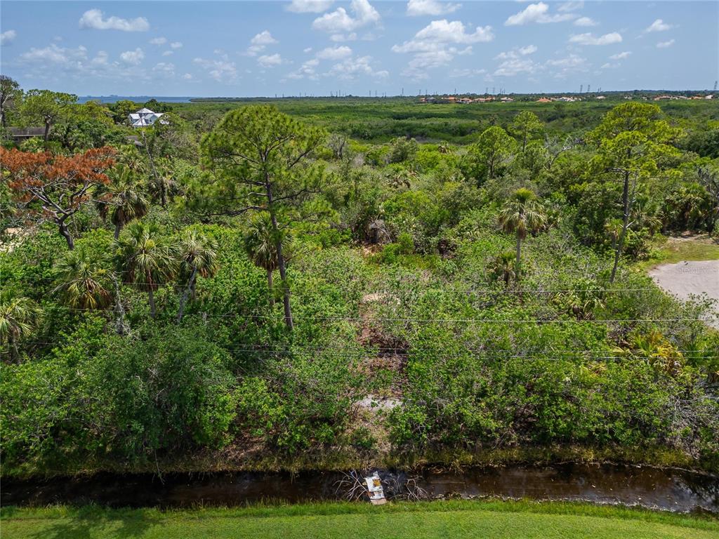 Strathmore Avenue Oldsmar, FL 34677 - Photo 24 of 27 a view of outdoor space and yard