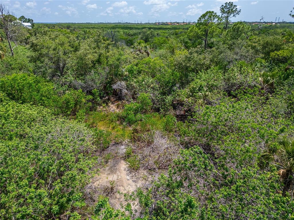 Strathmore Avenue Oldsmar, FL 34677 - Photo 26 of 27