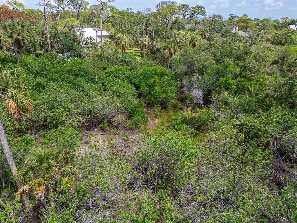 Strathmore Avenue Oldsmar, FL 34677 - Photo 27 of 27 an aerial view of residential house with outdoor space and trees all around