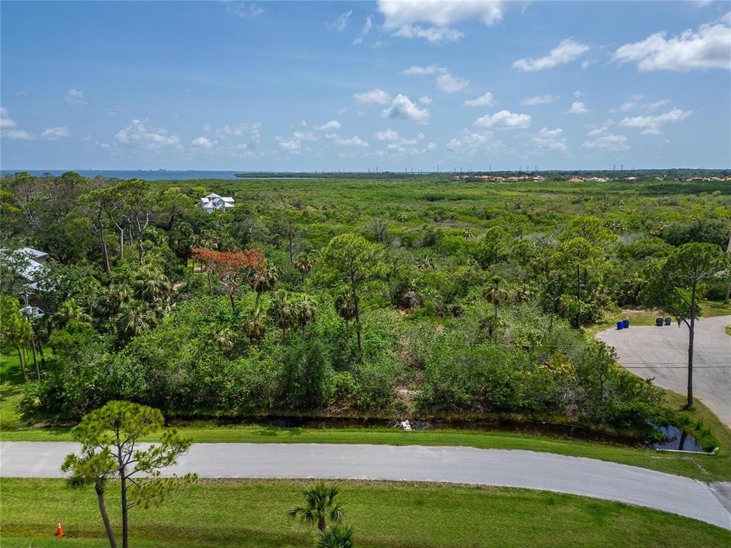 Strathmore Avenue Oldsmar, FL 34677 - Photo 3 of 27 a view of a yard with a house in the background