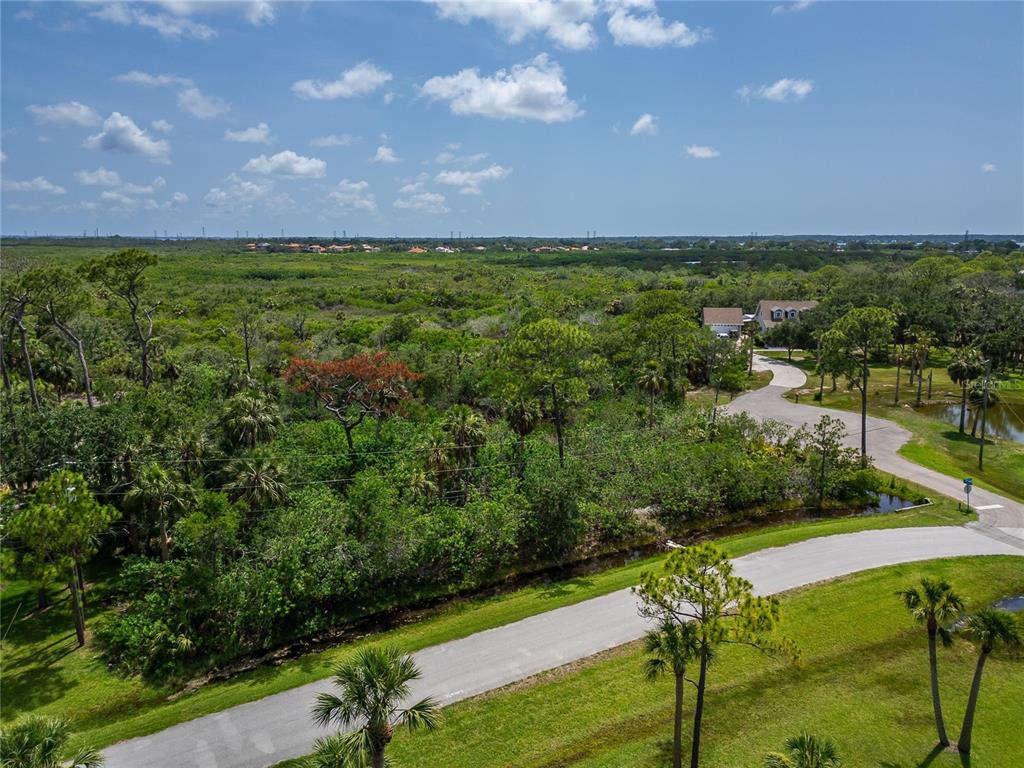 Strathmore Avenue Oldsmar, FL 34677 - Photo 4 of 27 a view of an outdoor space and a lake view