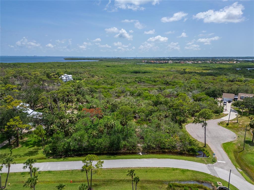 Strathmore Avenue Oldsmar, FL 34677 - Photo 6 of 27