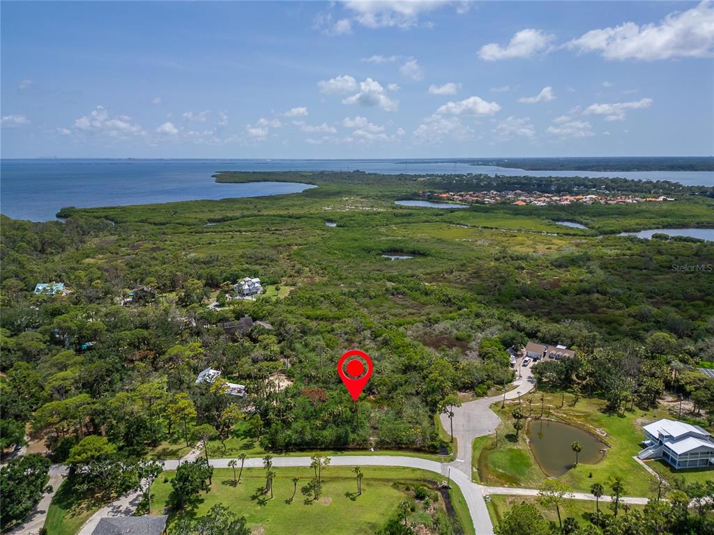 Strathmore Avenue Oldsmar, FL 34677 - Photo 8 of 27 a view of an outdoor space and a lake view